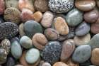 USA, Washington State, Seabeck. Close-up of wet beach rocks. Coastal Print